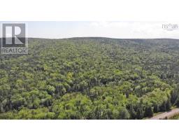 46 Acres Washabuck Road, Lower Washabuck, NS B2C1N4 Photo 6