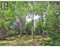 46 Acres Washabuck Road, Lower Washabuck, NS B2C1N4 Photo 16