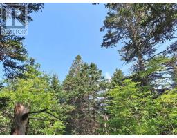 Lot 8 Hwy 316 (grovers Pt), Cole Harbour, NS B0H1T0 Photo 41