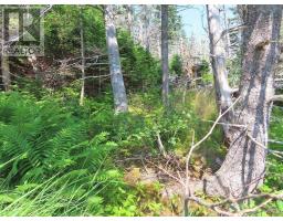 Lot 8 Hwy 316 (grovers Pt), Cole Harbour, NS B0H1T0 Photo 40