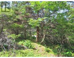 Lot 8 Hwy 316 (grovers Pt), Cole Harbour, NS B0H1T0 Photo 42