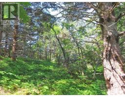 Lot 8 Hwy 316 (grovers Pt), Cole Harbour, NS B0H1T0 Photo 43