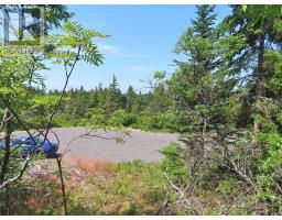 Lot 8 Hwy 316 (grovers Pt), Cole Harbour, NS B0H1T0 Photo 44