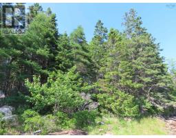 76 Acres Perry Lane, Lennox Passage, NS B0E1K0 Photo 26
