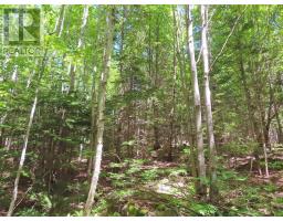 Lot 13 Belle View Lane, Malagawash, NS B0E2Y0 Photo 14