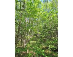 Lot 13 Belle View Lane, Malagawash, NS B0E2Y0 Photo 17
