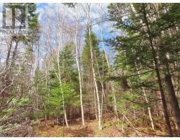 Lot 13 Belle View Lane, Malagawash, NS B0E2Y0 Photo 22