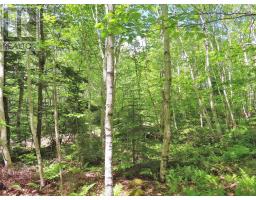 Lot 13 Belle View Lane, Malagawash, NS B0E2Y0 Photo 19