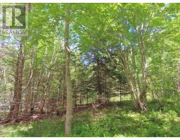 Lot 13 Belle View Lane, Malagawash, NS B0E2Y0 Photo 13
