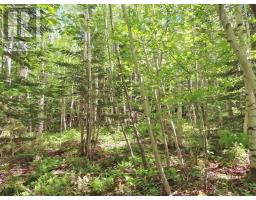 Lot 13 Belle View Lane, Malagawash, NS B0E2Y0 Photo 18