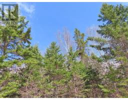 Lot 13 Belle View Lane, Malagawash, NS B0E2Y0 Photo 23