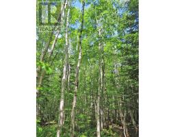 Lot 13 Belle View Lane, Malagawash, NS B0E2Y0 Photo 16
