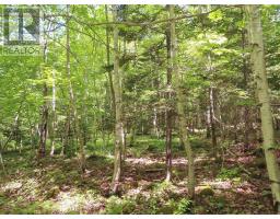Lot 13 Belle View Lane, Malagawash, NS B0E2Y0 Photo 11