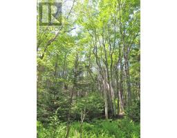 Lot 14 Perry Lane, Lennox Passage, NS B0E1K0 Photo 32