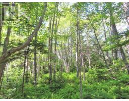 Lot 14 Perry Lane, Lennox Passage, NS B0E1K0 Photo 34