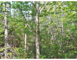 Lot 14 Perry Lane, Lennox Passage, NS B0E1K0 Photo 35