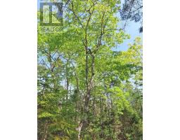 Lot 14 Perry Lane, Lennox Passage, NS B0E1K0 Photo 31