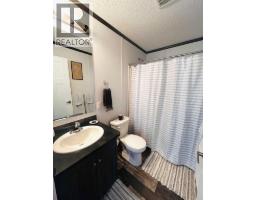 19 Eastbrook Drive E, Brooks, AB T1R0H9 Photo 12