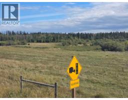 41323 - 2 Range Road 262, Rural Lacombe County, AB T4L2N4 Photo 13