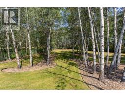 155, 37411 Waskasoo Avenue, Rural Red Deer County, AB T4S1Y2 Photo 43