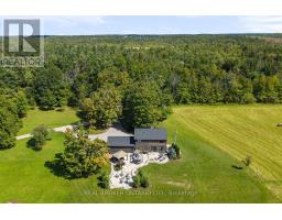 3750 10 Line N, Oro Medonte, ON L0K1E0 Photo 39