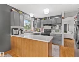 7503 190 St Nw, Edmonton, AB T5T5H6 Photo 28