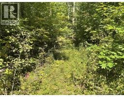 449 Harriet Oree Road, Waterford, NB E4E0H2 Photo 11