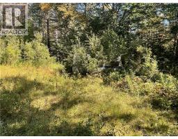 449 Harriet Oree Road, Waterford, NB E4E0H2 Photo 9