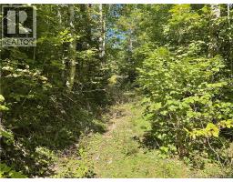 449 Harriet Oree Road, Waterford, NB E4E0H2 Photo 8