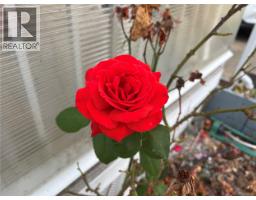 30 4714 Muir Rd, Courtenay, BC V9N8Z6 Photo 39