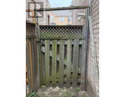 Studio Basement - 28 Ignatius Lane, Toronto, ON M1E0A3 Photo 10