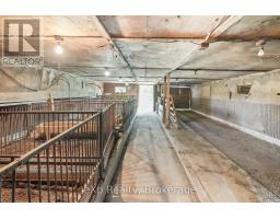 81827 Baseline Road, Central Huron, ON N0M2H0 Photo 44