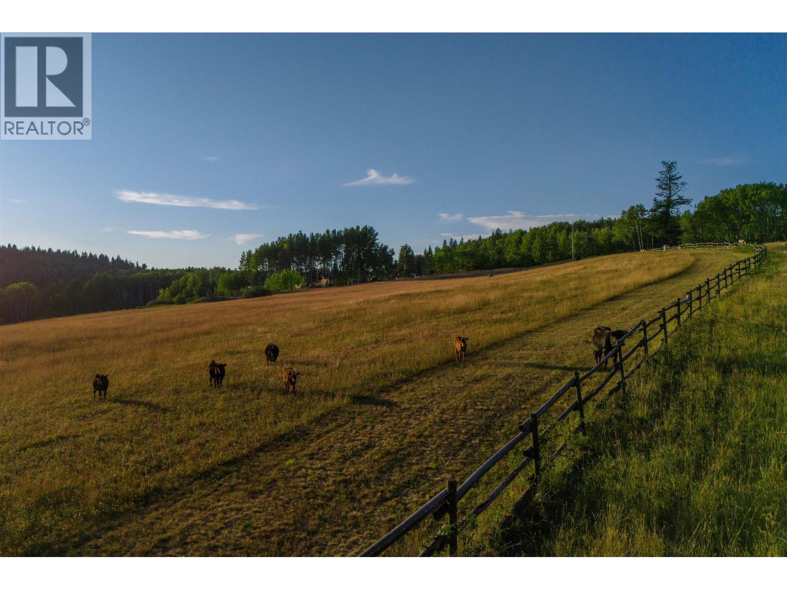 7915 MACHETE LAKE ROAD, Bridge Lake — photo 5