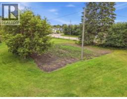 4803 42 Street, Ponoka, AB T4J1R1 Photo 20