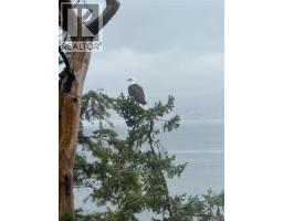 811 Canso Rd, Gabriola Island, BC V0R1X2 Photo 38