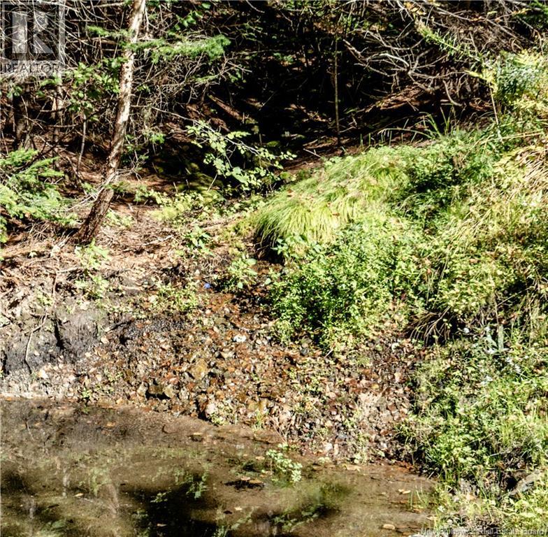 235 Breau Creek - 19