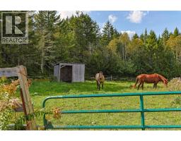 2078 Route 845, Bayswater, NB E5S1J6 Photo 11