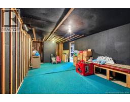 123 Mcadam Ave, Fredericton, NB E3A1G7 Photo 24