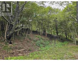 1357 River Road, Bear River, NS B0S1B0 Photo 40