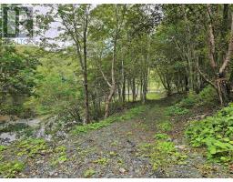 1357 River Road, Bear River, NS B0S1B0 Photo 42