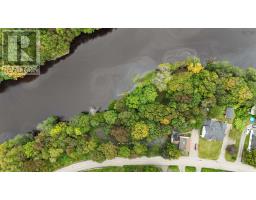 1357 River Road, Bear River, NS B0S1B0 Photo 47
