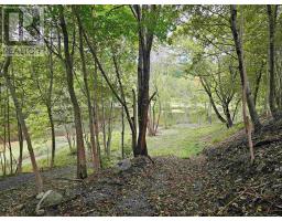 1357 River Road, Bear River, NS B0S1B0 Photo 7