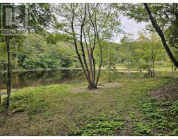1357 River Road, Bear River, NS B0S1B0 Photo 9