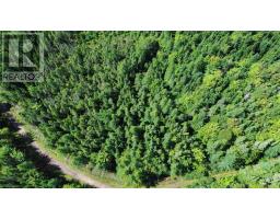 Port Malcolm Road, Grantville, NS B9A1Z6 Photo 12