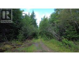 Port Malcolm Road, Grantville, NS B9A1Z6 Photo 6