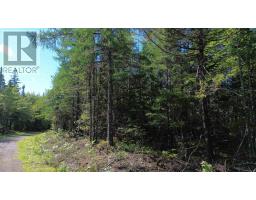 Port Malcolm Road, Grantville, NS B9A1Z6 Photo 7