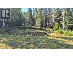 67 Hannah Road, Dufferin, NB E3L3S3 Photo 7