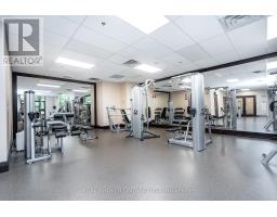Ph208 - 18 Harding Boulevard, Richmond Hill, ON L4C0T3 Photo 19