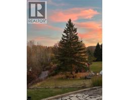 163 Ruisseau Richard Road, Saint Jacques, NB E7B2G1 Photo 28