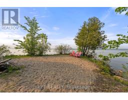 2 Birch Knoll Road, Georgina, ON L0E1R0 Photo 49